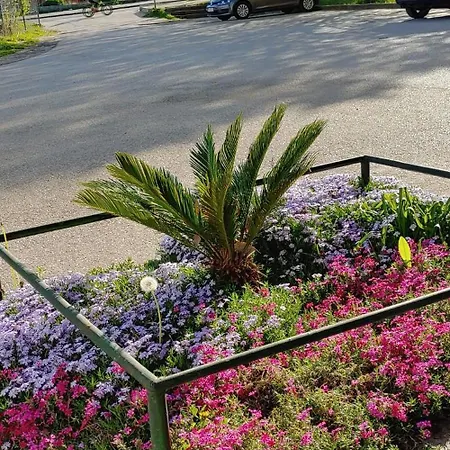 Appartement Piccolo *