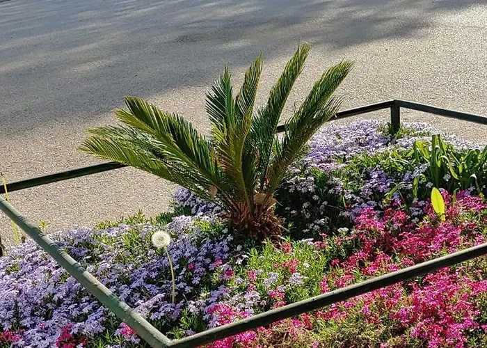 Appartement Piccolo *